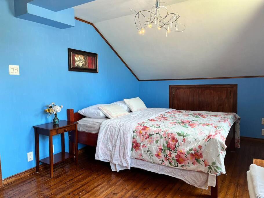 Petite Maison 2 Bedrooms Levis Exterior photo